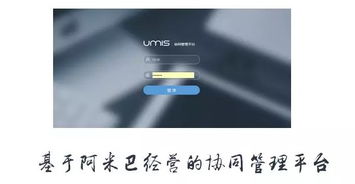 上海互聯(lián)網(wǎng)軟件集團 高端協(xié)同管理軟件與咨詢服務領軍者