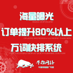 上海專業(yè)關鍵字優(yōu)化軟件公司 軟件外包服務的全面解析